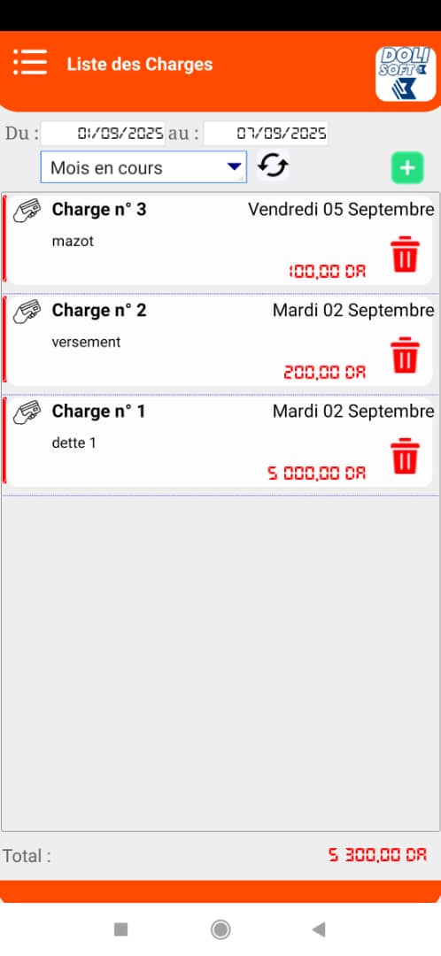 Dolisoft PRO – أقوى برنامج لمؤسستك أو متجرك PROMO version mobile