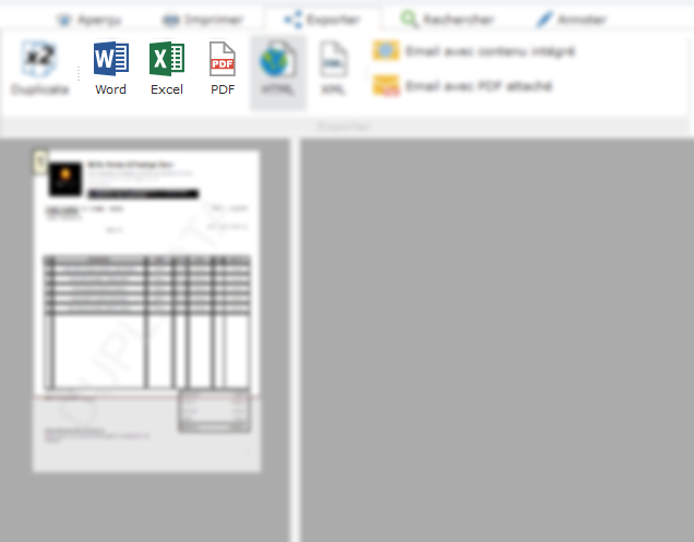 PROMO برنامج دوليسوفت للفوترة