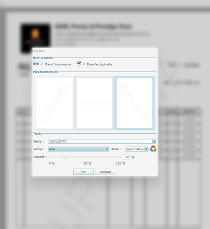 PROMO برنامج دوليسوفت للفوترة